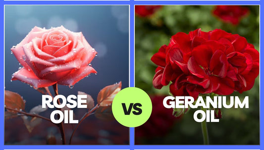 Geranium Oil vs. Rose Oil: Which Essential Oil Is Best for You?