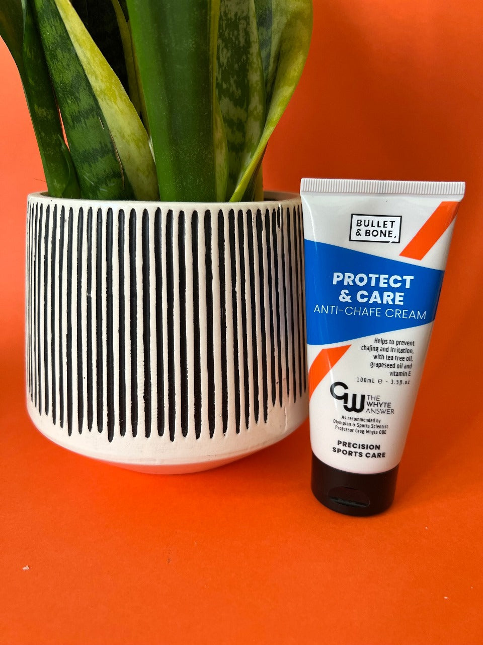Protect & Care Anti-Chafe Chamois Cream
